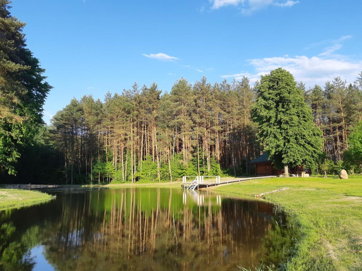 Pusu Slamesy Villa Vilnius Exterior photo